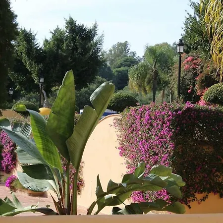 Apartament En Patios De Santa Maria Golf Marbella