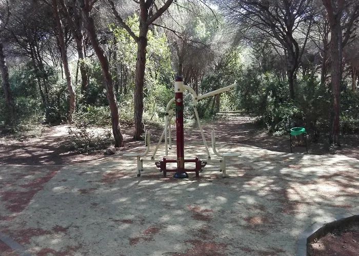 En Patios De Santa Maria Golf Marbella