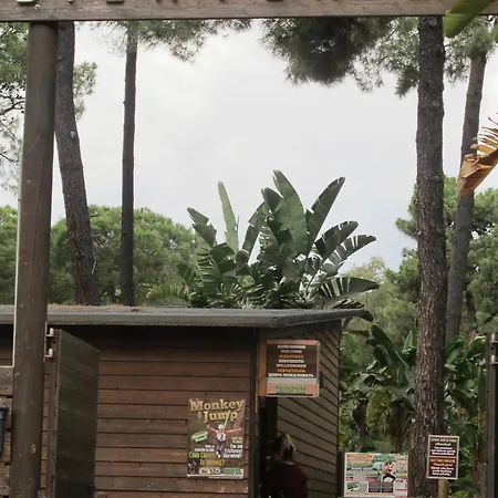 Апартаменты En Patios De Santa Maria Golf Марбелья