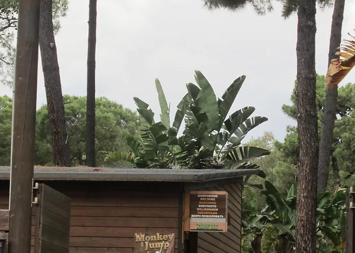 아파트 En Patios De Santa Maria Golf 마르베야