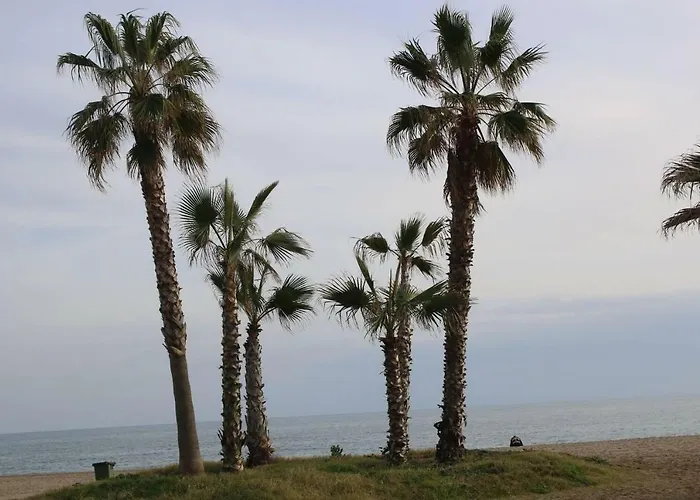 En Patios De Santa Maria Golf